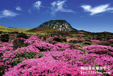 济州岛风景图