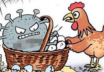 中国公民在韩国注意防范禽流感